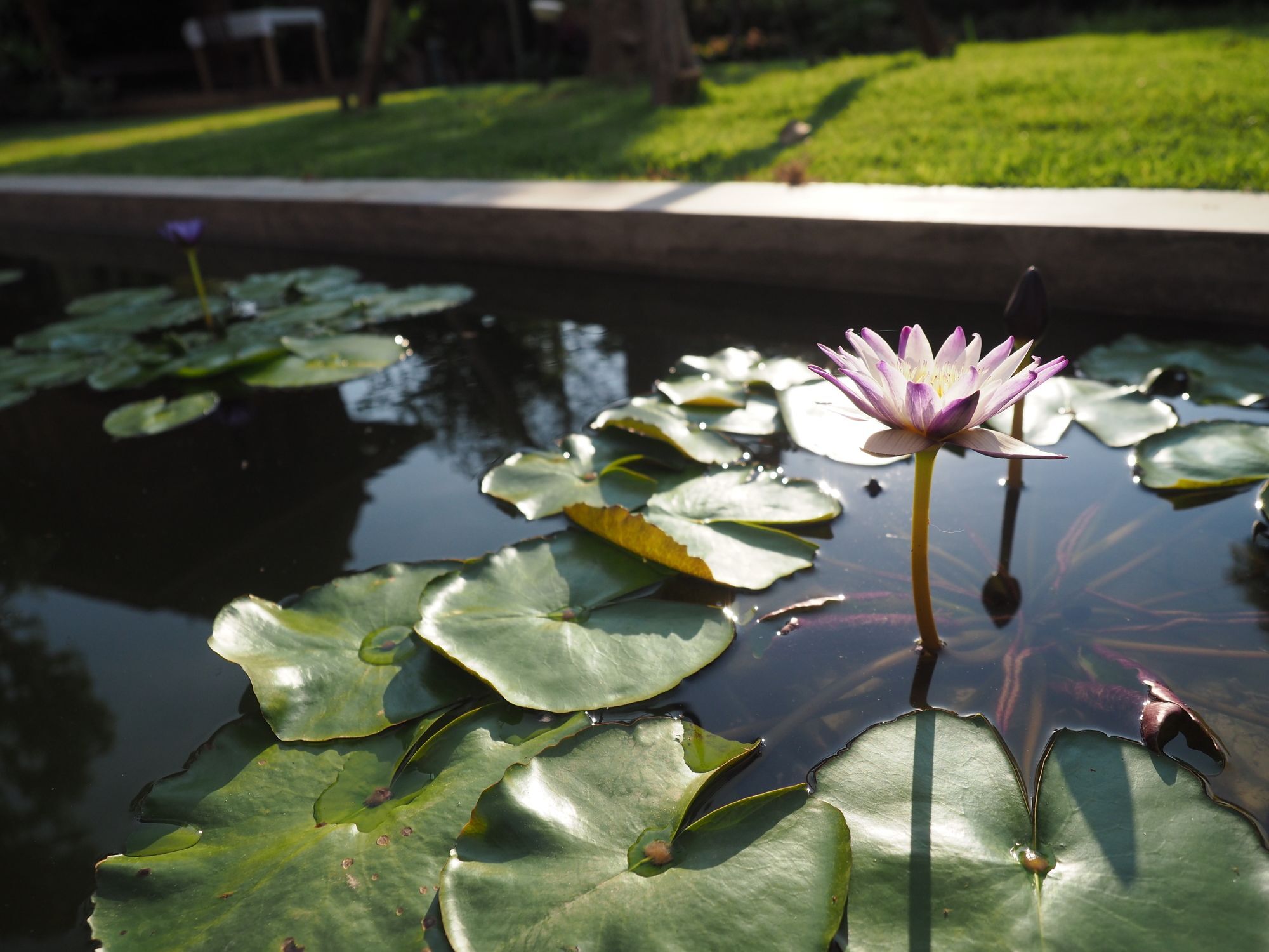 Amata Lanna Village อมตะล้านนาวิลเลจ Chiang Mai Luaran gambar